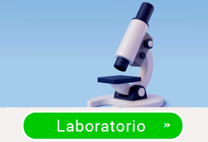 Curso Laboratorio